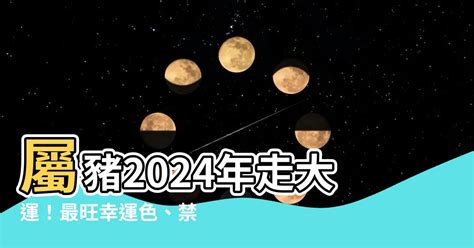 1971豬幸運色2024|2024屬豬幾歲、2024屬豬運勢、屬豬幸運色、財位、禁忌